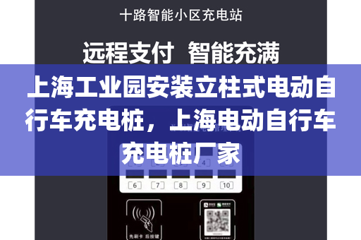 上海工业园安装立柱式电动自行车充电桩，上海电动自行车充电桩厂家