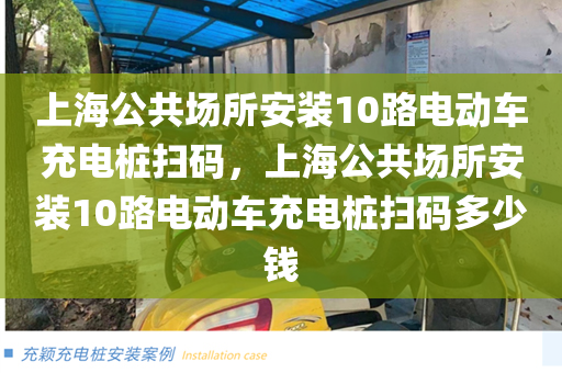 上海公共场所安装10路电动车充电桩扫码，上海公共场所安装10路电动车充电桩扫码多少钱