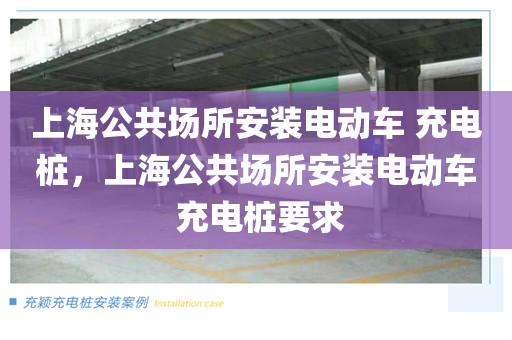 上海公共场所安装电动车 充电桩，上海公共场所安装电动车 充电桩要求