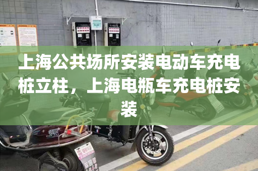 上海公共场所安装电动车充电桩立柱，上海电瓶车充电桩安装