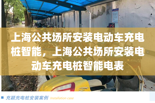 上海公共场所安装电动车充电桩智能，上海公共场所安装电动车充电桩智能电表