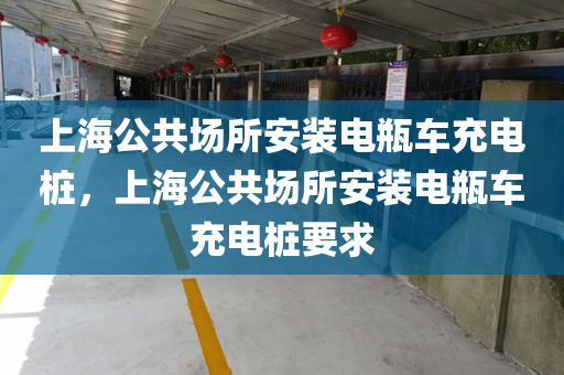 上海公共场所安装电瓶车充电桩，上海公共场所安装电瓶车充电桩要求