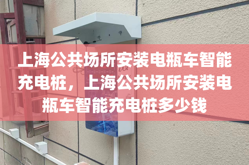 上海公共场所安装电瓶车智能充电桩，上海公共场所安装电瓶车智能充电桩多少钱
