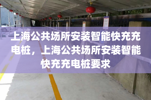上海公共场所安装智能快充充电桩，上海公共场所安装智能快充充电桩要求