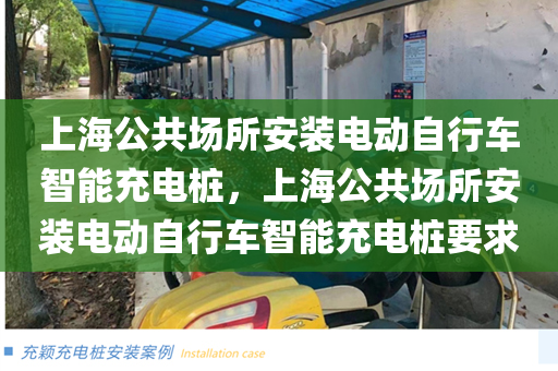 上海公共场所安装电动自行车智能充电桩，上海公共场所安装电动自行车智能充电桩要求