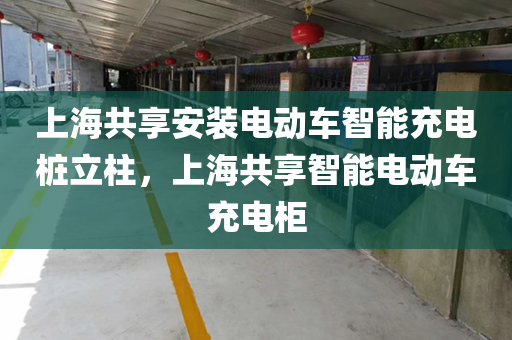上海共享安装电动车智能充电桩立柱，上海共享智能电动车充电柜
