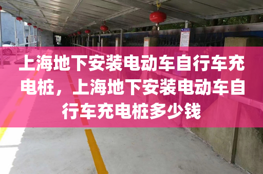 上海地下安装电动车自行车充电桩，上海地下安装电动车自行车充电桩多少钱