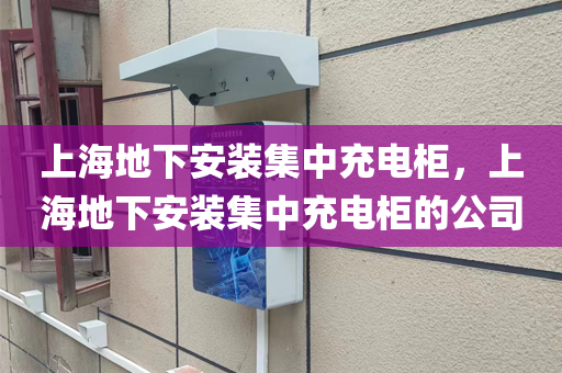 上海地下安装集中充电柜，上海地下安装集中充电柜的公司