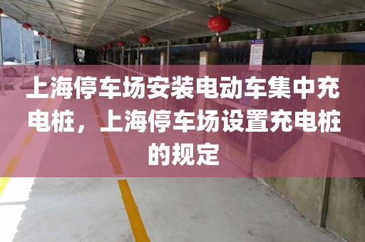 上海停车场安装电动车集中充电桩，上海停车场设置充电桩的规定