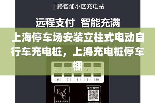 上海停车场安装立柱式电动自行车充电桩，上海充电桩停车棚