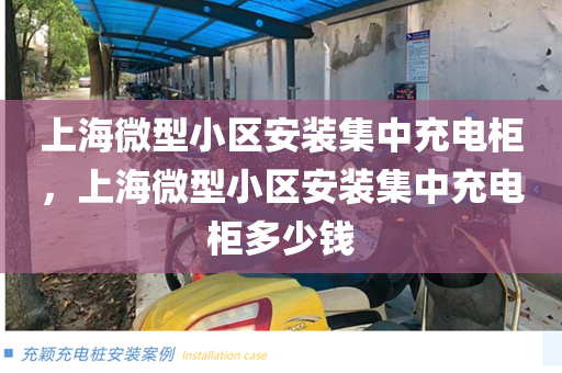 上海微型小区安装集中充电柜，上海微型小区安装集中充电柜多少钱