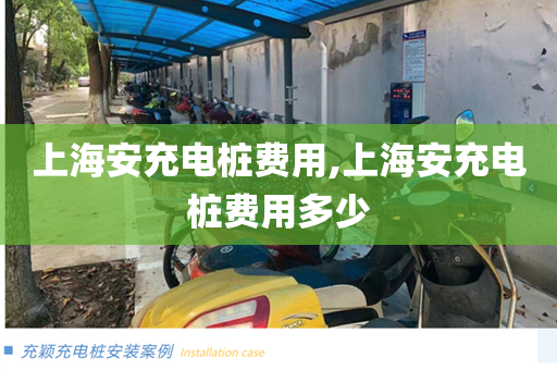 上海安充电桩费用,上海安充电桩费用多少
