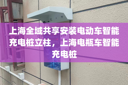 上海全域共享安装电动车智能充电桩立柱，上海电瓶车智能充电桩
