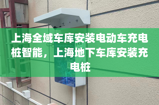 上海全域车库安装电动车充电桩智能，上海地下车库安装充电桩
