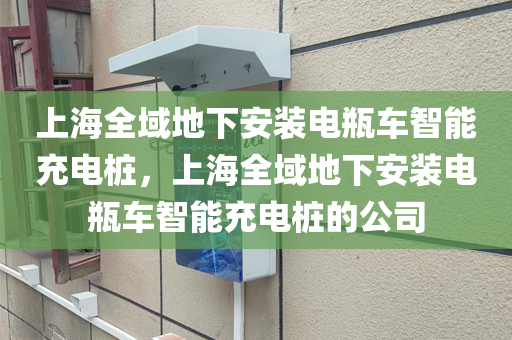 上海全域地下安装电瓶车智能充电桩，上海全域地下安装电瓶车智能充电桩的公司