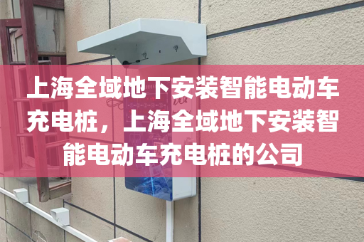 上海全域地下安装智能电动车充电桩，上海全域地下安装智能电动车充电桩的公司