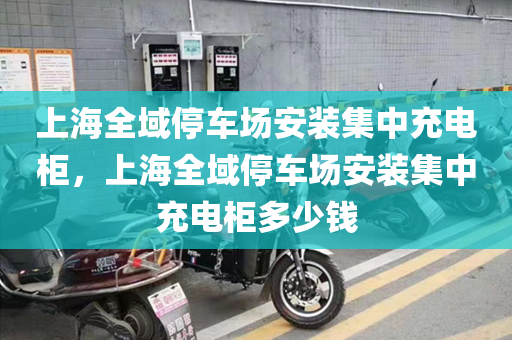 上海全域停车场安装集中充电柜，上海全域停车场安装集中充电柜多少钱