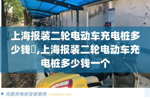 上海报装二轮电动车充电桩多少钱​,上海报装二轮电动车充电桩多少钱一个