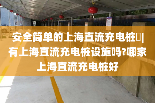 安全简单的上海直流充电桩​|有上海直流充电桩设施吗?哪家上海直流充电桩好