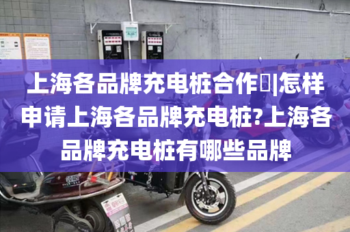 上海各品牌充电桩合作​|怎样申请上海各品牌充电桩?上海各品牌充电桩有哪些品牌