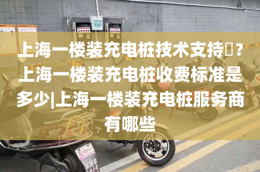 上海一楼装充电桩技术支持​？上海一楼装充电桩收费标准是多少|上海一楼装充电桩服务商有哪些