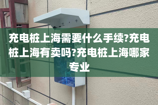 充电桩上海需要什么手续?充电桩上海有卖吗?充电桩上海哪家专业