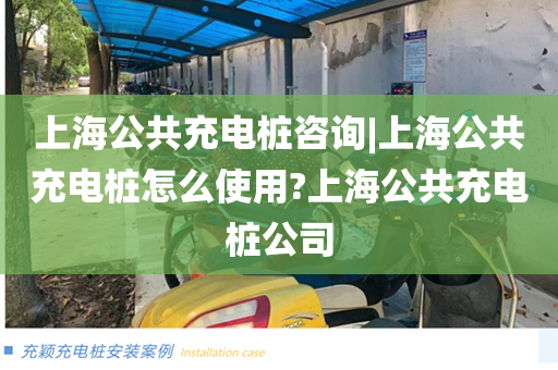 上海公共充电桩咨询|上海公共充电桩怎么使用?上海公共充电桩公司
