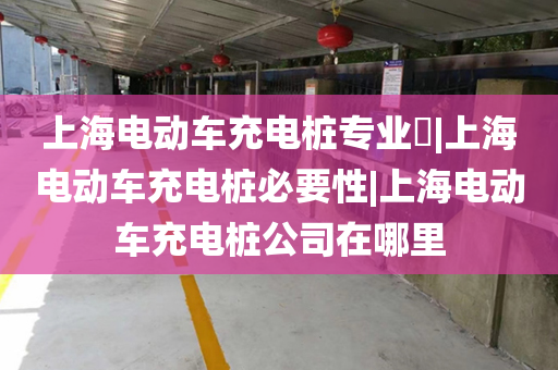 上海电动车充电桩专业​|上海电动车充电桩必要性|上海电动车充电桩公司在哪里