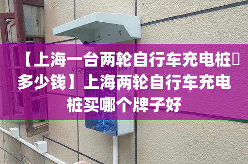 【上海一台两轮自行车充电桩​多少钱】上海两轮自行车充电桩买哪个牌子好